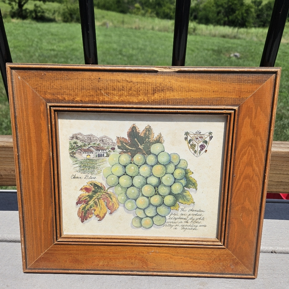 Pier 1 Wine Grapes Of The World By Lorraine Rossi Framed Print 12x15